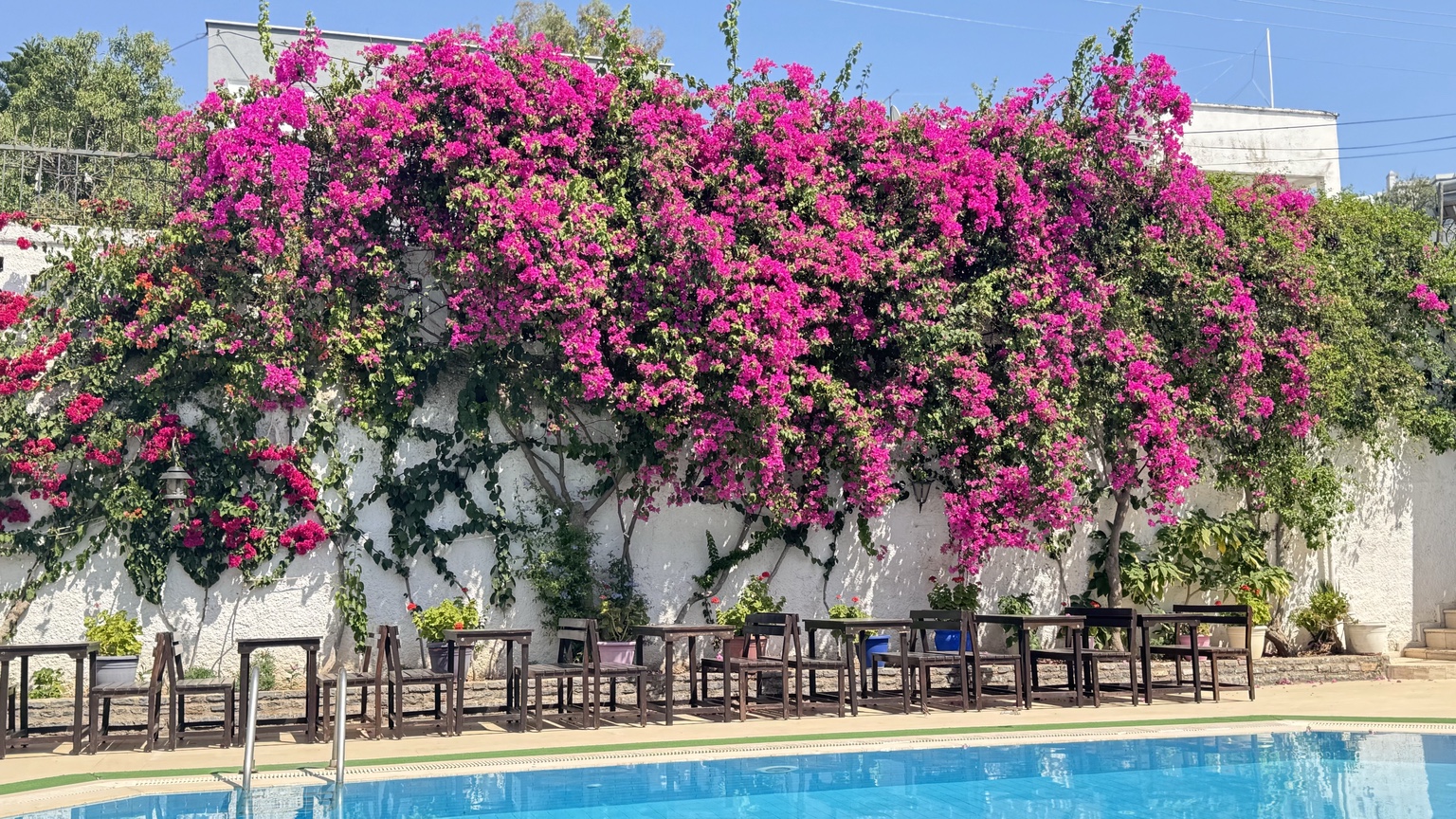 Seçkin Best Hotel havuz ve bahçe atmosferi