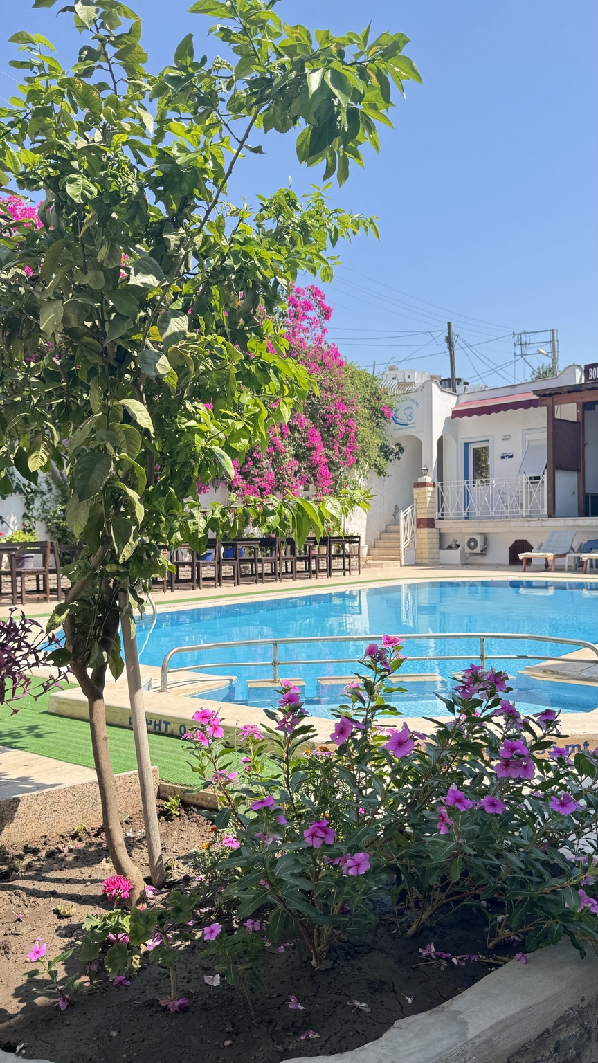 Seçkin Best Hotel havuz ve bahçe atmosferi