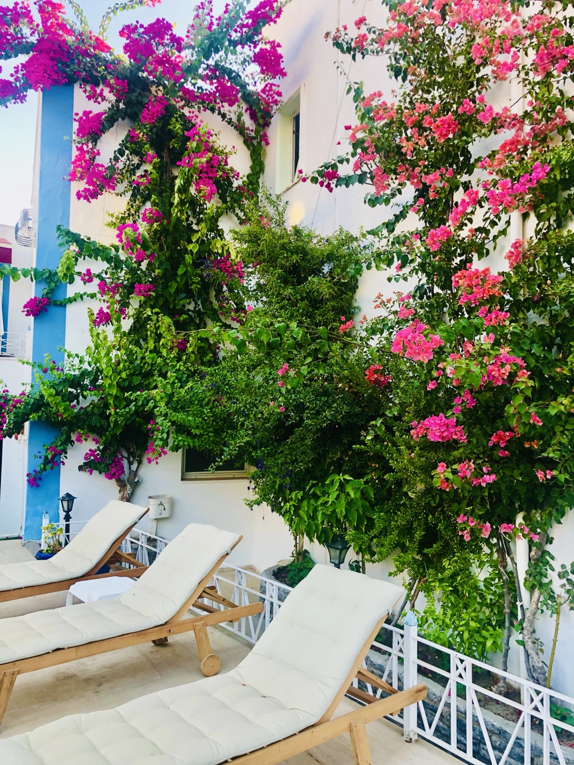 Seçkin Best Hotel begonvilleri ve dinlenme alanı