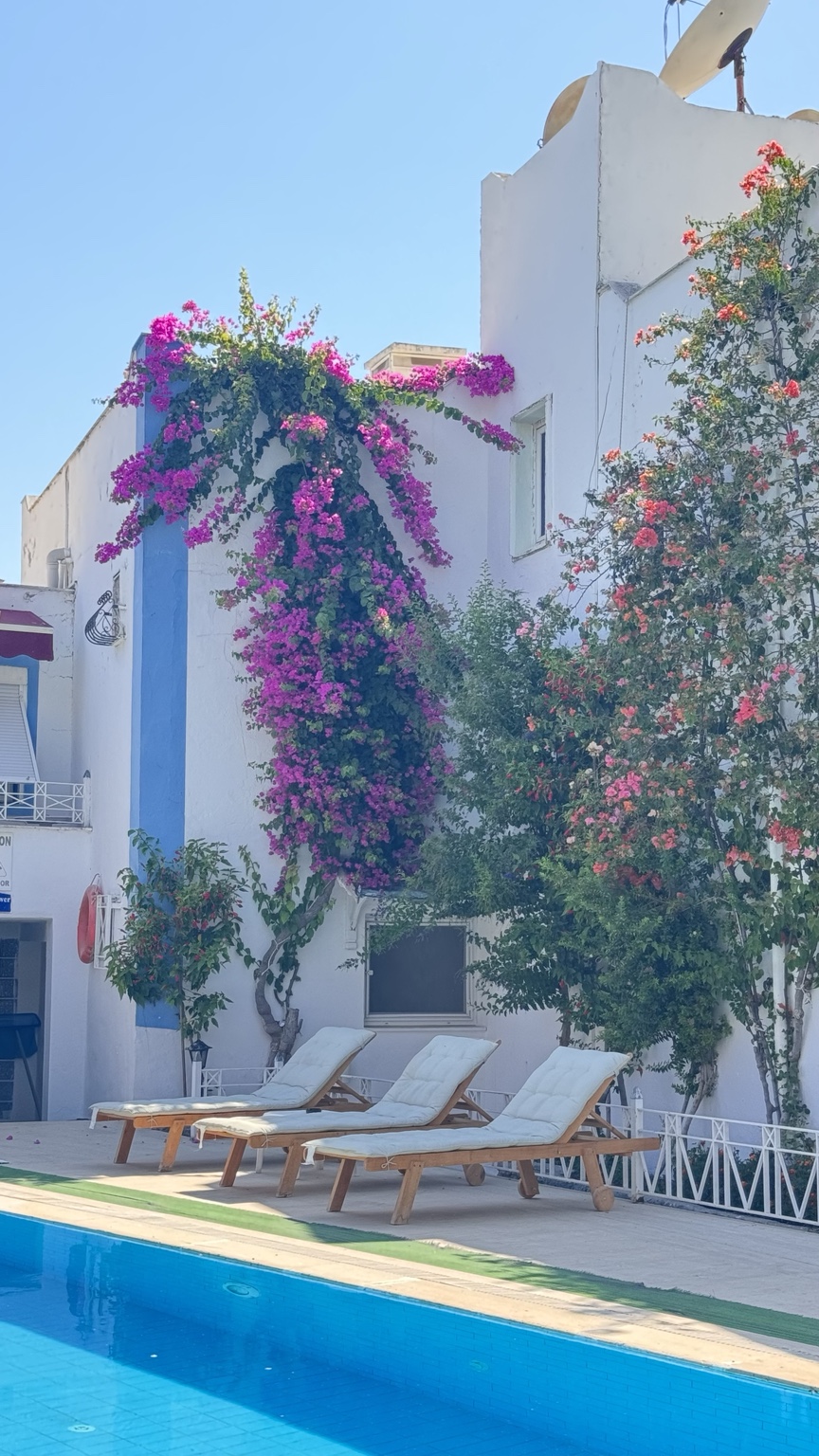 Seçkin Best Hotel havuz ve bahçe atmosferi